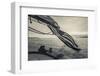 Massachusetts, Gloucester, Schooner Festival, the Schooner Virginia-Walter Bibikow-Framed Photographic Print