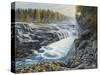 Massachusetts Gorge-Bruce Dumas-Stretched Canvas