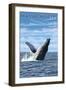 Massachusetts - Humpback Whale Scene-Lantern Press-Framed Art Print