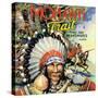 Massachusetts - Mohawk Trail, View of Mohawk Indians-Lantern Press-Stretched Canvas