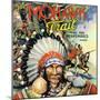 Massachusetts - Mohawk Trail, View of Mohawk Indians-Lantern Press-Mounted Art Print