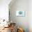 Massachusetts - Scallop Shell - Teal - Coastal Icon-Lantern Press-Stretched Canvas displayed on a wall