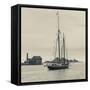 Massachusetts, Schooner Festival, Schooners in Gloucester Harbor-Walter Bibikow-Framed Stretched Canvas