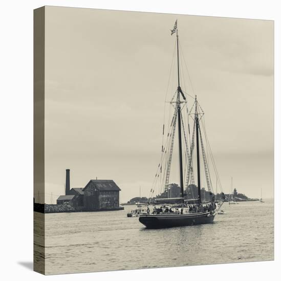 Massachusetts, Schooner Festival, Schooners in Gloucester Harbor-Walter Bibikow-Stretched Canvas