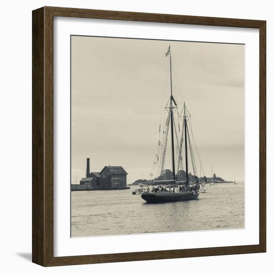 Massachusetts, Schooner Festival, Schooners in Gloucester Harbor-Walter Bibikow-Framed Photographic Print