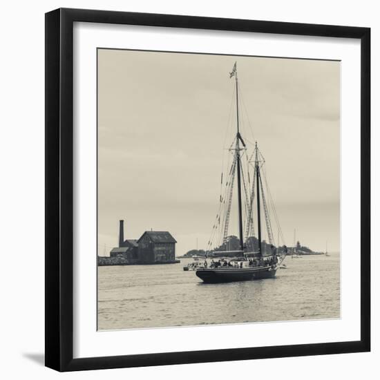 Massachusetts, Schooner Festival, Schooners in Gloucester Harbor-Walter Bibikow-Framed Photographic Print