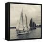 Massachusetts, Schooner Festival, Schooners in Gloucester Harbor-Walter Bibikow-Framed Stretched Canvas