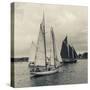 Massachusetts, Schooner Festival, Schooners in Gloucester Harbor-Walter Bibikow-Stretched Canvas