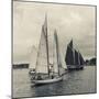 Massachusetts, Schooner Festival, Schooners in Gloucester Harbor-Walter Bibikow-Mounted Photographic Print