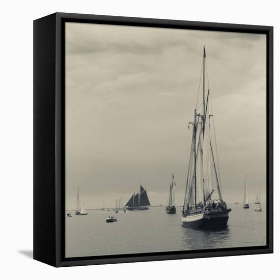 Massachusetts, Schooner Festival, Schooners in Gloucester Harbor-Walter Bibikow-Framed Stretched Canvas