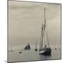 Massachusetts, Schooner Festival, Schooners in Gloucester Harbor-Walter Bibikow-Mounted Photographic Print