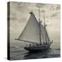 Massachusetts, Schooner Festival, Schooners in Gloucester Harbor-Walter Bibikow-Stretched Canvas