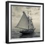 Massachusetts, Schooner Festival, Schooners in Gloucester Harbor-Walter Bibikow-Framed Photographic Print