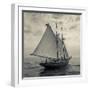 Massachusetts, Schooner Festival, Schooners in Gloucester Harbor-Walter Bibikow-Framed Photographic Print