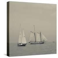 Massachusetts, Schooner Festival, Schooners in Gloucester Harbor-Walter Bibikow-Stretched Canvas