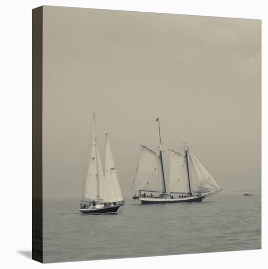 Massachusetts, Schooner Festival, Schooners in Gloucester Harbor-Walter Bibikow-Stretched Canvas