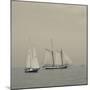 Massachusetts, Schooner Festival, Schooners in Gloucester Harbor-Walter Bibikow-Mounted Photographic Print