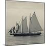 Massachusetts, Schooner Festival, Schooners in Gloucester Harbor-Walter Bibikow-Mounted Photographic Print