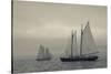 Massachusetts, Schooner Festival, Schooners in Gloucester Harbor-Walter Bibikow-Stretched Canvas