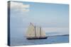 Massachusetts, Schooner Festival, Schooners in Gloucester Harbor-Walter Bibikow-Stretched Canvas