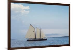 Massachusetts, Schooner Festival, Schooners in Gloucester Harbor-Walter Bibikow-Framed Photographic Print