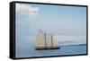 Massachusetts, Schooner Festival, Schooners in Gloucester Harbor-Walter Bibikow-Framed Stretched Canvas