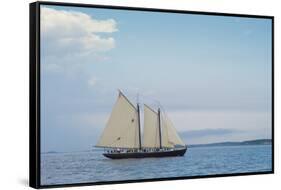 Massachusetts, Schooner Festival, Schooners in Gloucester Harbor-Walter Bibikow-Framed Stretched Canvas