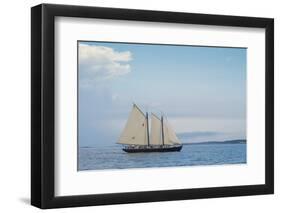 Massachusetts, Schooner Festival, Schooners in Gloucester Harbor-Walter Bibikow-Framed Photographic Print