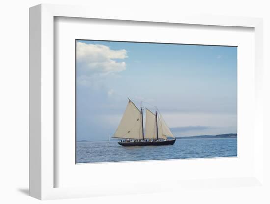 Massachusetts, Schooner Festival, Schooners in Gloucester Harbor-Walter Bibikow-Framed Photographic Print