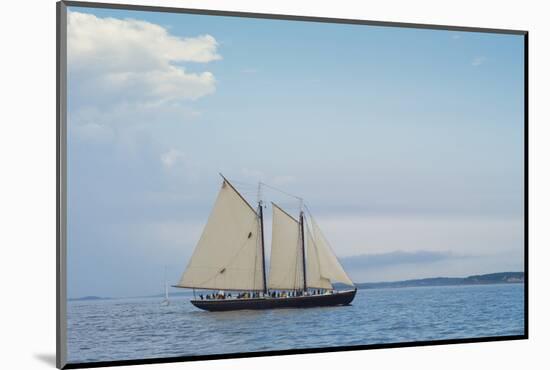 Massachusetts, Schooner Festival, Schooners in Gloucester Harbor-Walter Bibikow-Mounted Photographic Print