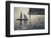 Massachusetts, Schooner Festival, Schooners in Gloucester Harbor-Walter Bibikow-Framed Photographic Print