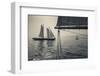 Massachusetts, Schooner Festival, Schooners in Gloucester Harbor-Walter Bibikow-Framed Photographic Print