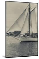 Massachusetts, Schooner Festival, Schooners in Gloucester Harbor-Walter Bibikow-Mounted Photographic Print