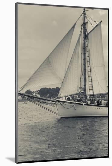 Massachusetts, Schooner Festival, Schooners in Gloucester Harbor-Walter Bibikow-Mounted Photographic Print