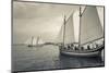 Massachusetts, Schooner Festival, Schooners in Gloucester Harbor-Walter Bibikow-Mounted Photographic Print