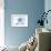 Massachusetts - Starfish - Blue - Coastal Icon-Lantern Press-Framed Art Print displayed on a wall