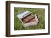 Massachusetts, Wareham, Cranberries-Jim Engelbrecht-Framed Photographic Print