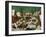 Massacre of the Innocents, 1565-Pieter Bruegel the Elder-Framed Giclee Print