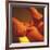 Massage-Cristina-Framed Photographic Print