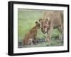 Massai Lion (Panthera leo nubica) adult female, with two-month old cub, Masai Mara-Elliott Neep-Framed Photographic Print