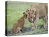 Massai Lion (Panthera leo nubica) adult female, with two-month old cub, Masai Mara-Elliott Neep-Stretched Canvas