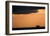 Massai Lion (Panthera leo nubica) adult male, silhouetted against sky at sunset, Masai Mara, Kenya-Elliott Neep-Framed Photographic Print