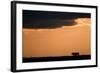 Massai Lion (Panthera leo nubica) adult male, silhouetted against sky at sunset, Masai Mara, Kenya-Elliott Neep-Framed Photographic Print