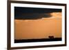 Massai Lion (Panthera leo nubica) adult male, silhouetted against sky at sunset, Masai Mara, Kenya-Elliott Neep-Framed Photographic Print