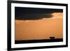 Massai Lion (Panthera leo nubica) adult male, silhouetted against sky at sunset, Masai Mara, Kenya-Elliott Neep-Framed Photographic Print