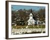 Masses of Snow Geese in Agricultural Fields of Skagit Valley, Washington, USA-Trish Drury-Framed Photographic Print