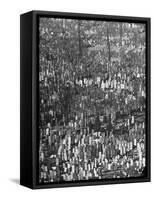 Masses of Tombstones in Cemetery in Queens-Andreas Feininger-Framed Stretched Canvas