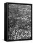 Masses of Tombstones in Cemetery in Queens-Andreas Feininger-Framed Stretched Canvas