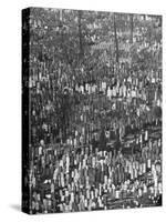Masses of Tombstones in Cemetery in Queens-Andreas Feininger-Stretched Canvas