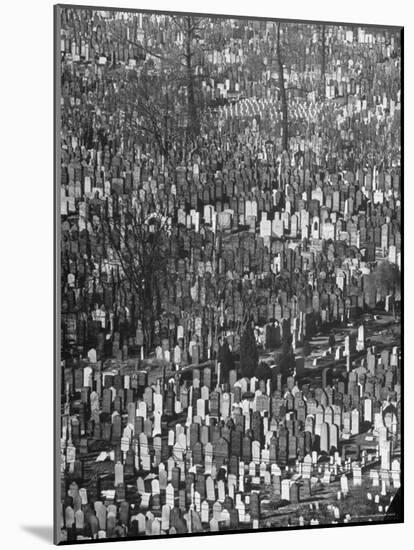 Masses of Tombstones in Cemetery in Queens-Andreas Feininger-Mounted Photographic Print